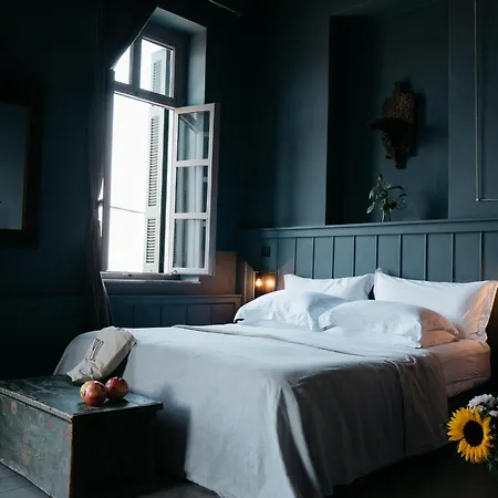 Ξενοδοχείο 1900 Σύμη